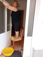 img wa0006